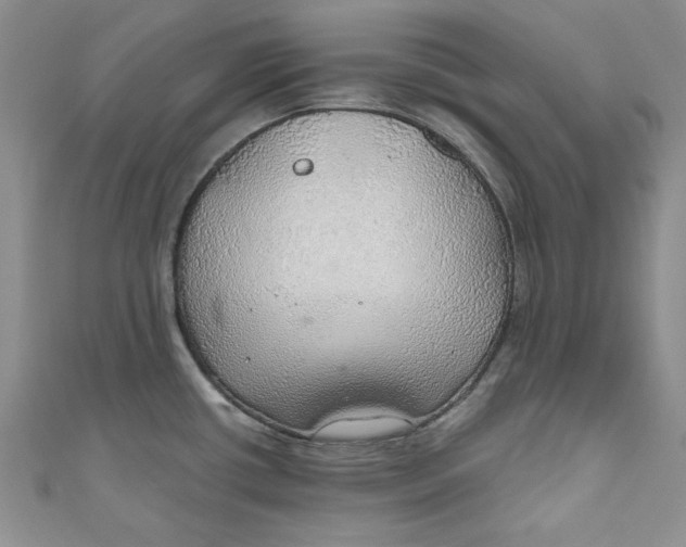 X0000111031434200907161316