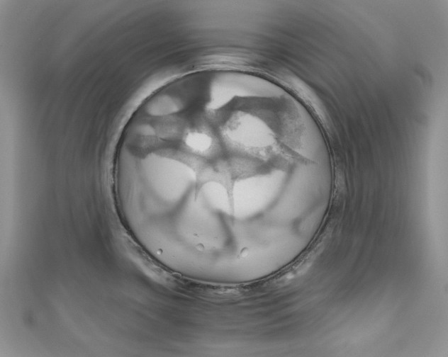X0000111031435200907161316