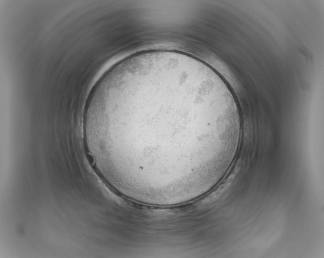 X0000111031436200907161316