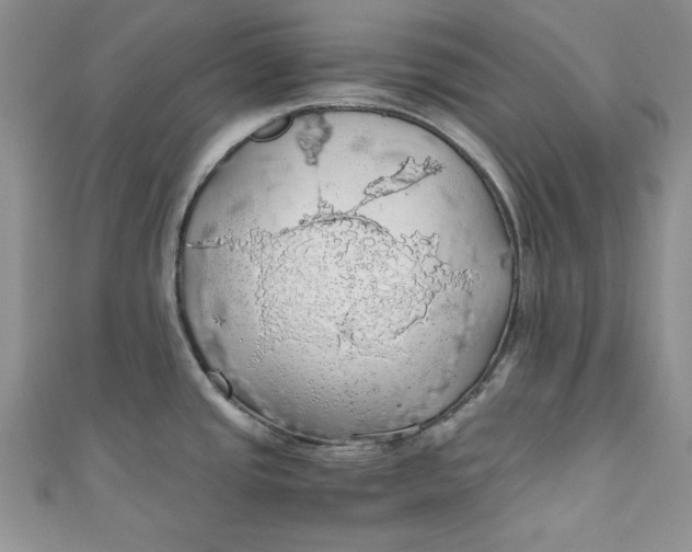 X0000111031437200907161316