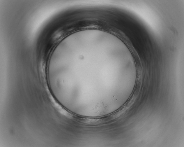 X0000111031439200907161316