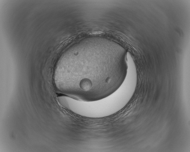 X0000111031441200907161315