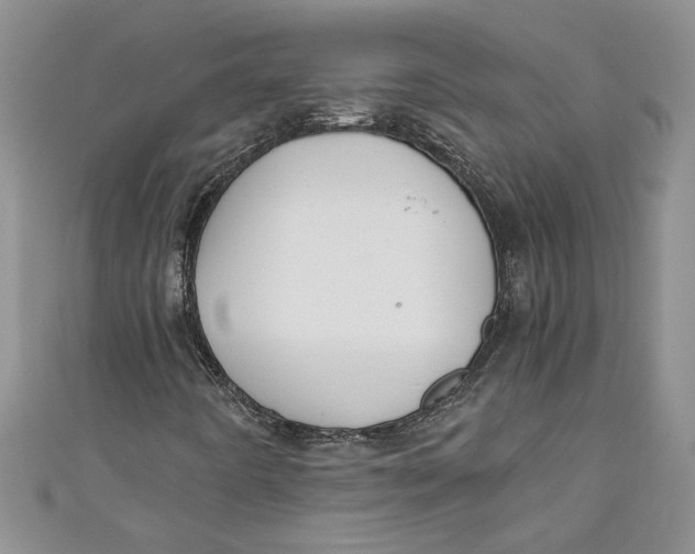 X0000111031442200907161315