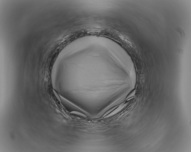 X0000111031445200907161315