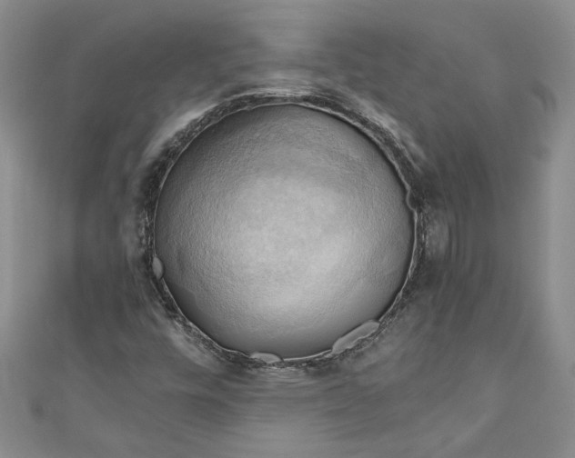 X0000111031448200907161315
