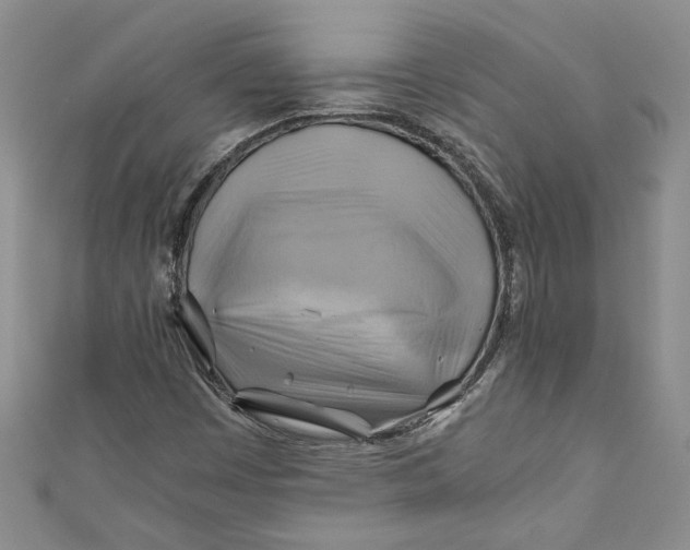 X0000111031449200907161315