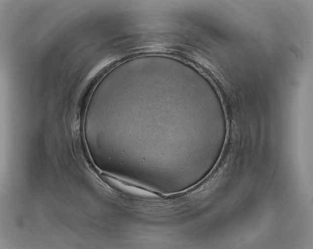 X0000111031450200907161315