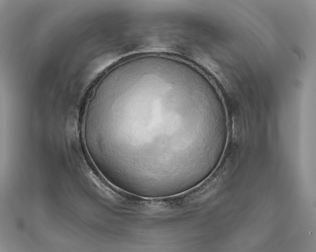 X0000111031452200907161315