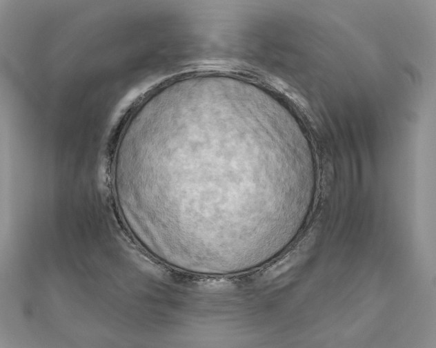 X0000111031454200907161315