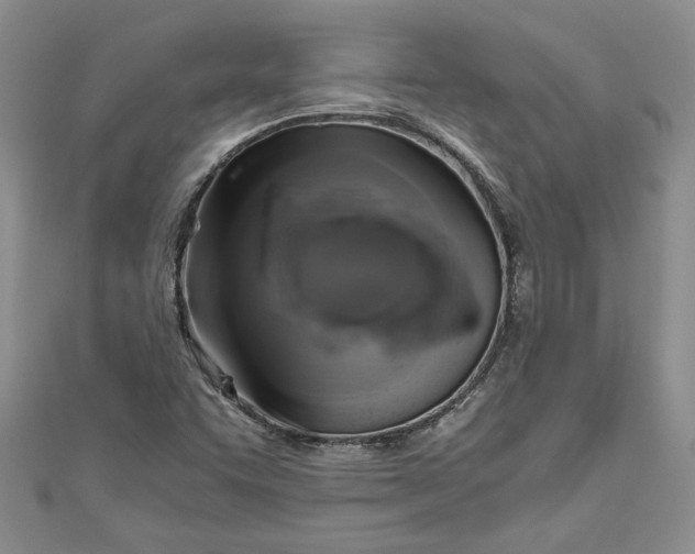X0000111031455200907161315