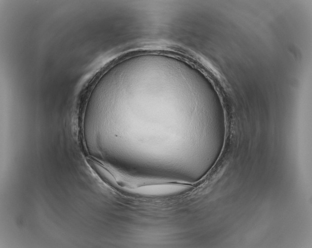 X0000111031456200907161315