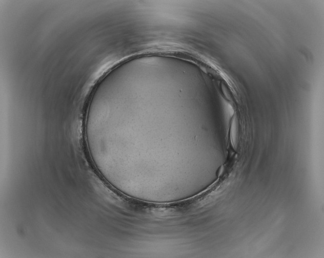 X0000111031459200907161315