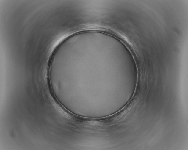 X0000111031463200907161315