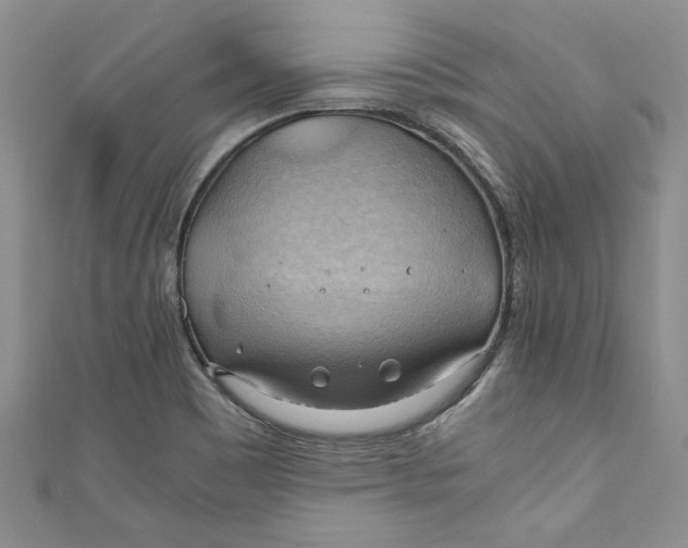 X0000111031465200907161315