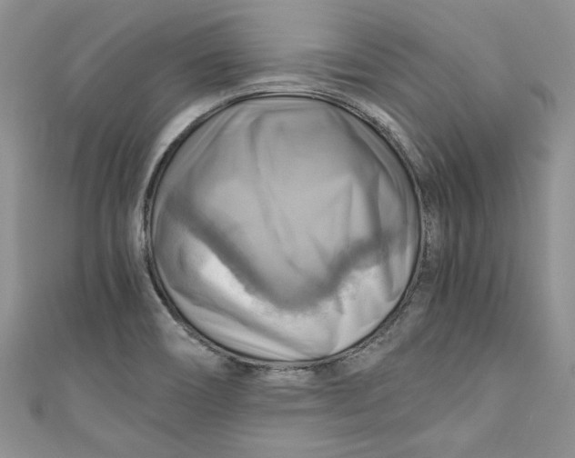 X0000111031466200907161315