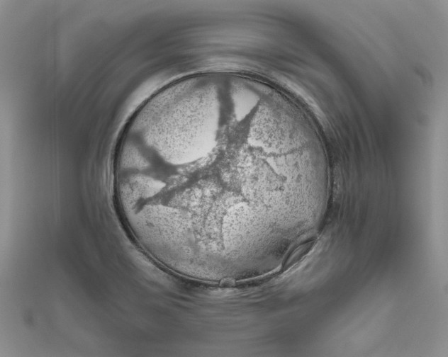 X0000111031467200907161315