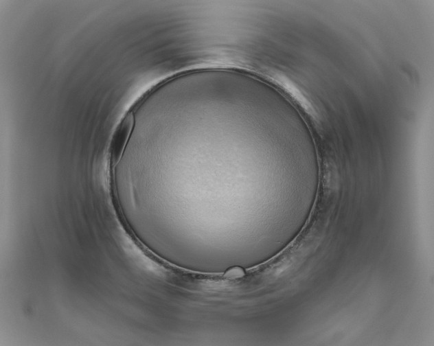 X0000111031468200907161315