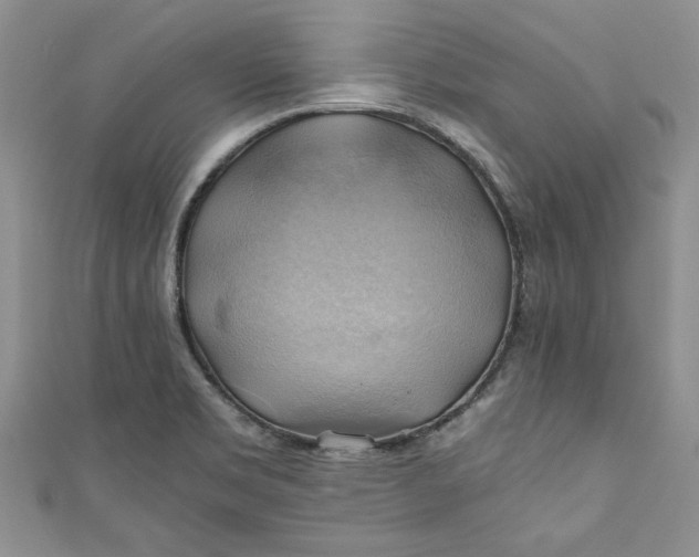 X0000111031469200907161315