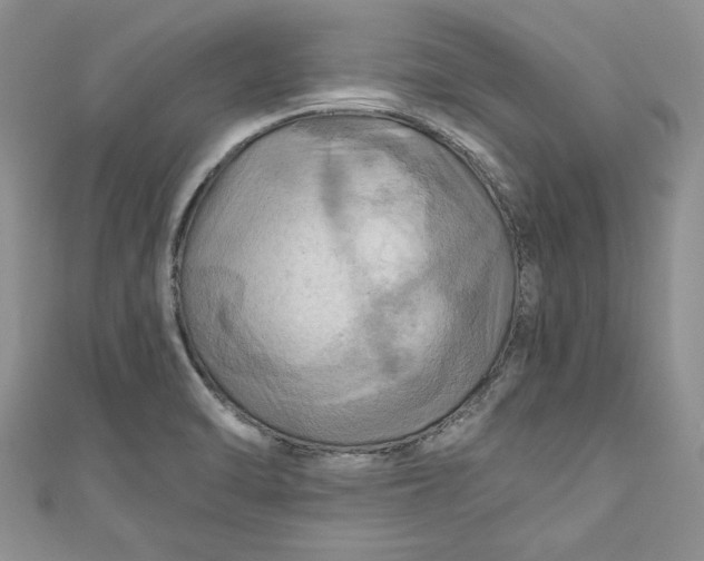 X0000111031470200907161315