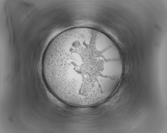 X0000111031471200907161315