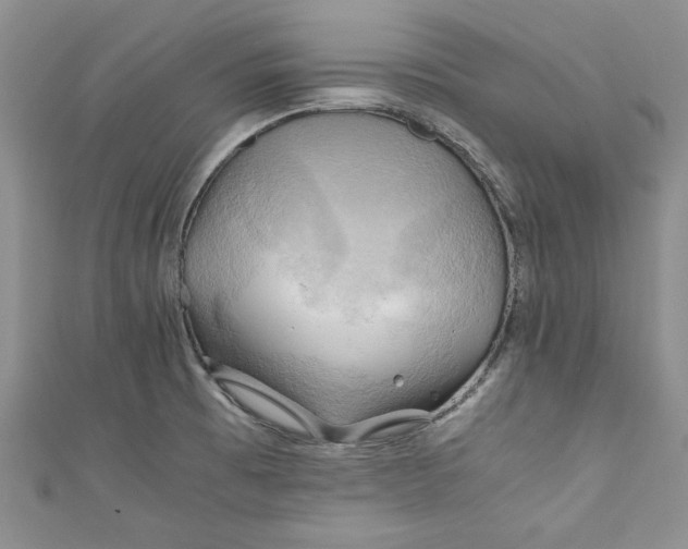 X0000111031473200907161315