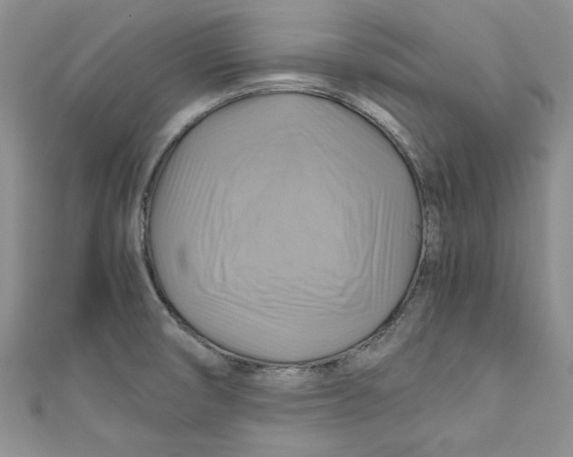 X0000111031474200907161315