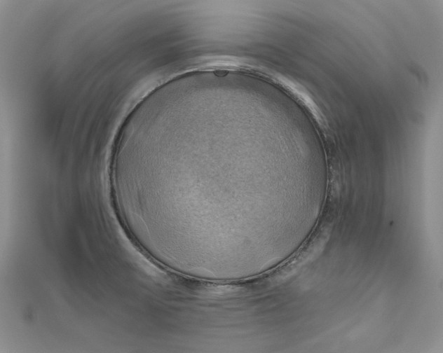 X0000111031475200907161315