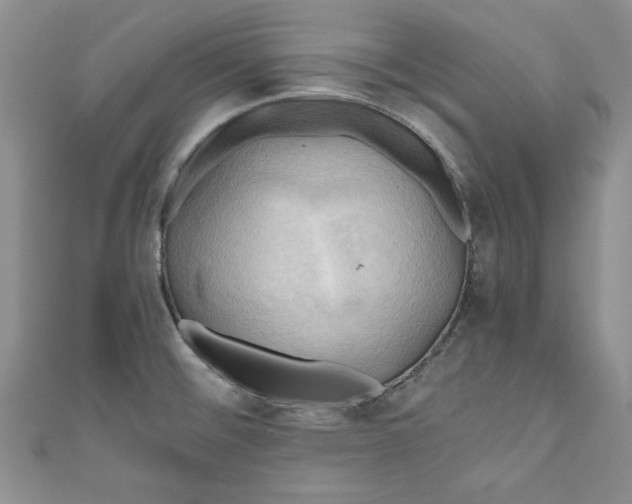 X0000111031476200907161315