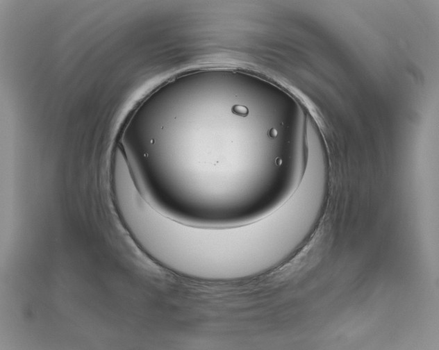X0000111031477200907161315
