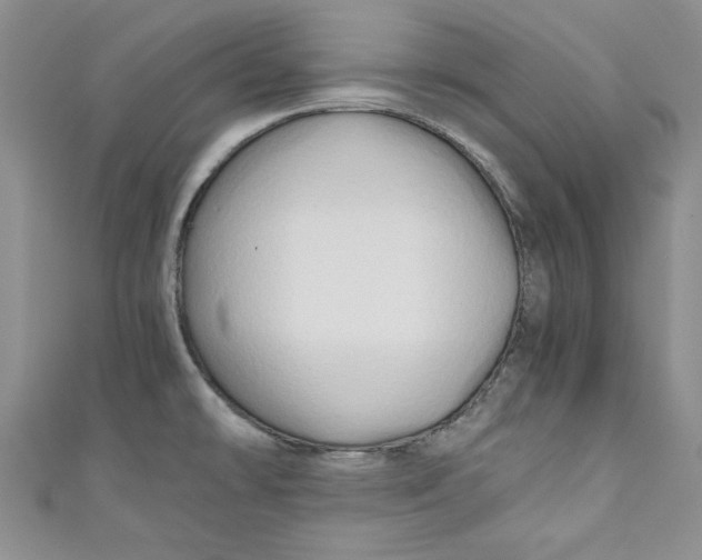 X0000111031478200907161315