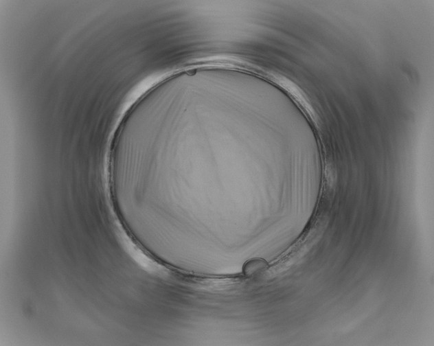 X0000111031482200907161315