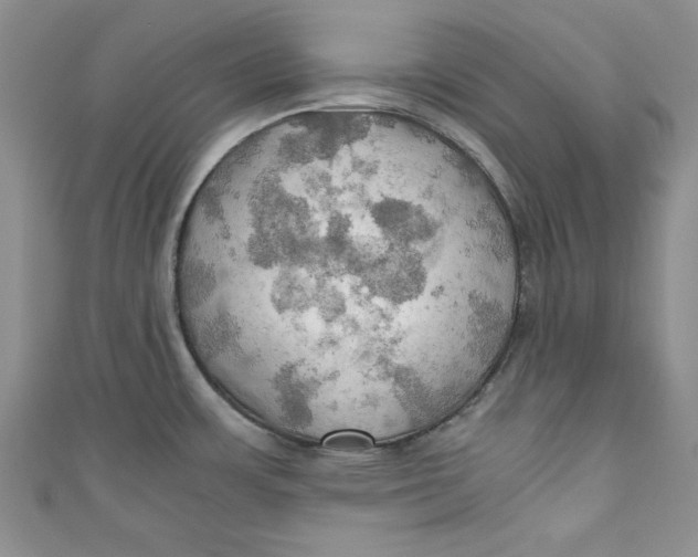 X0000111031483200907161315