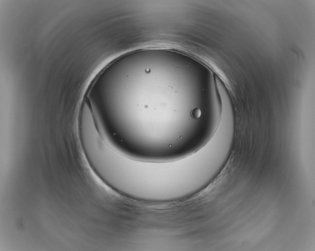 X0000111031484200907161315