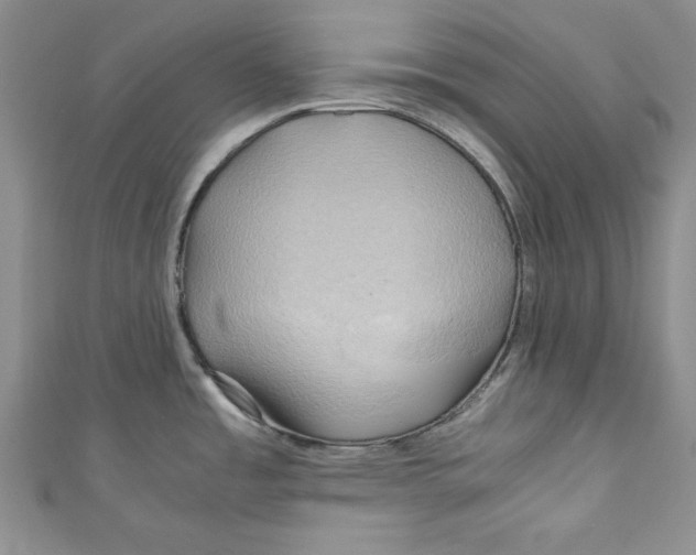 X0000111031485200907161315