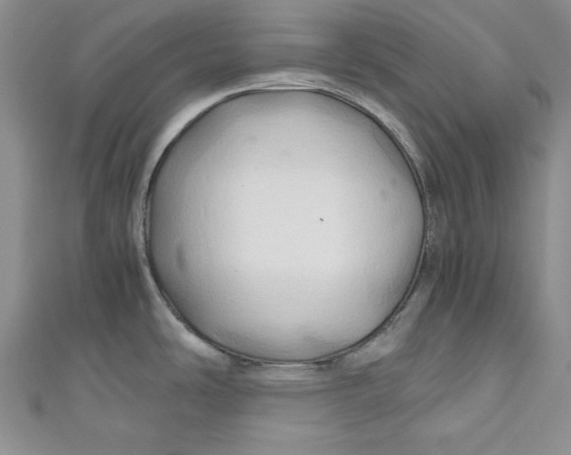 X0000111031486200907161315
