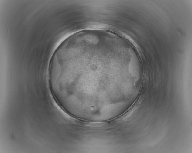 X0000111031487200907161315