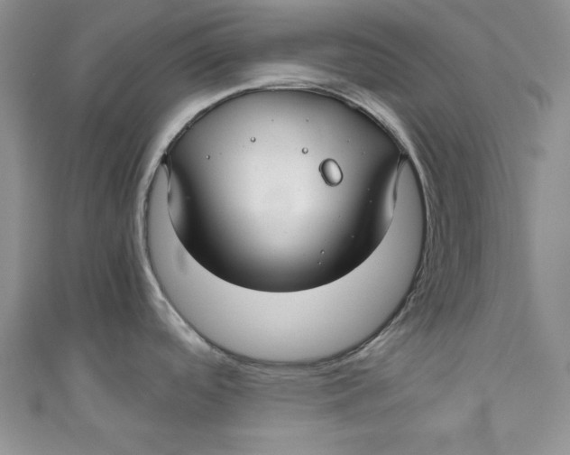 X0000111031488200907161315