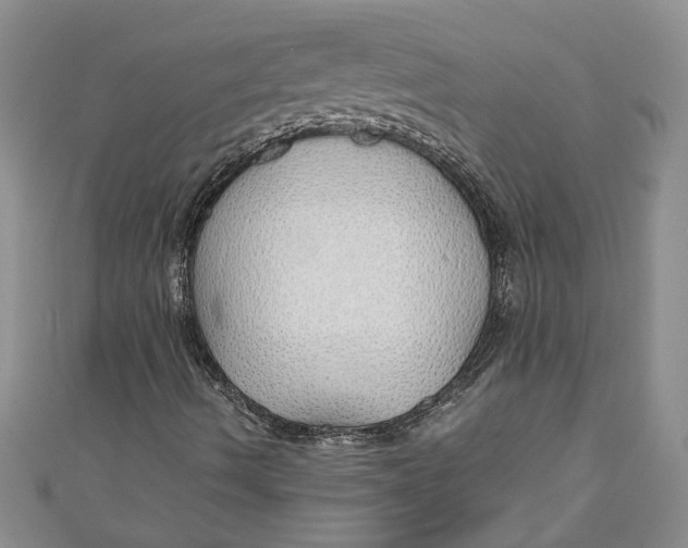 X0000111031490200907161314
