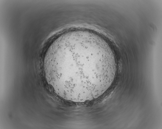 X0000111031494200907161314