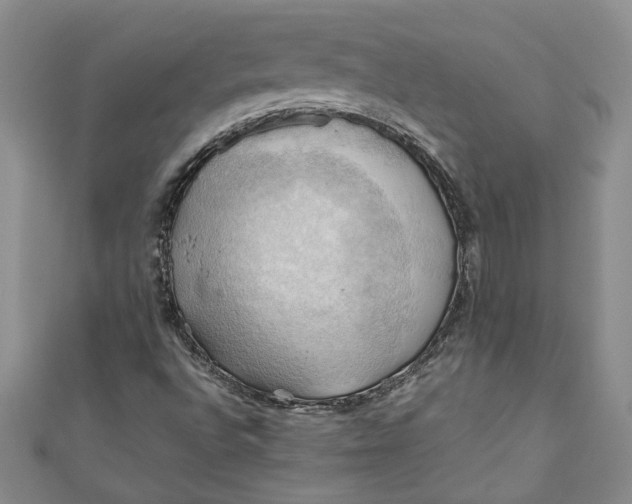X0000111031496200907161314