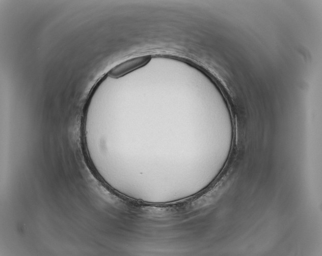 X0000111031500200907161314
