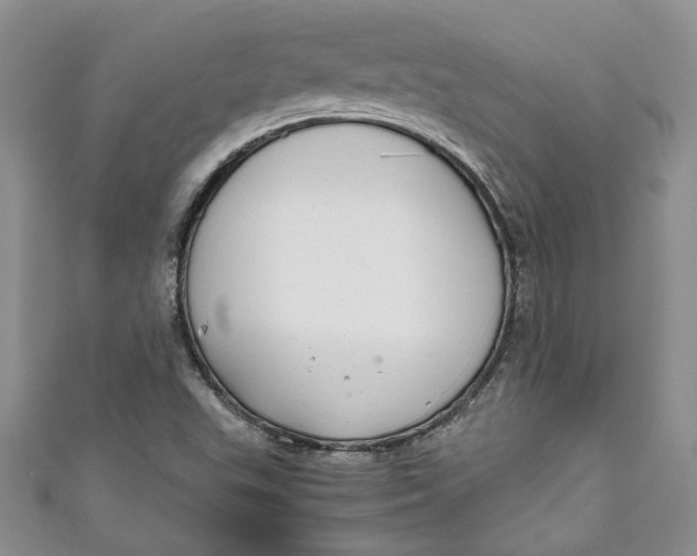 X0000111031503200907161314