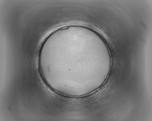 X0000111031504200907161314