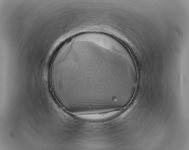X0000111031506200907161314