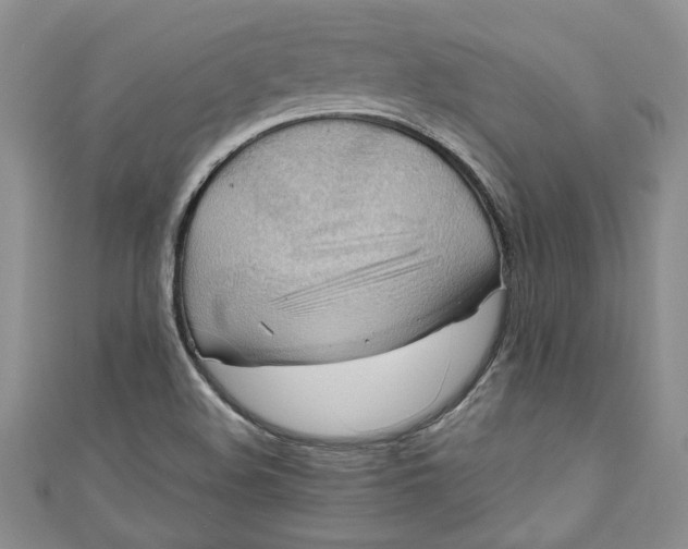 X0000111031508200907161314