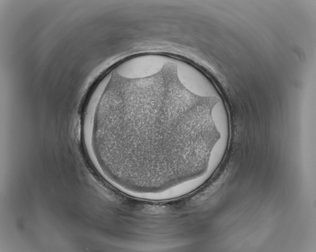 X0000111031509200907161314