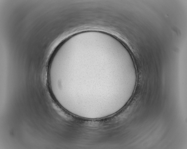 X0000111031511200907161314