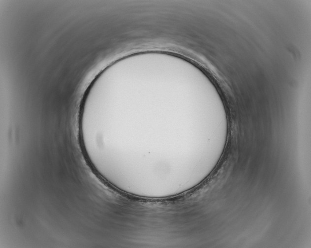 X0000111031512200907161314