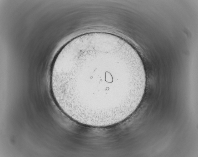 X0000111031514200907161314