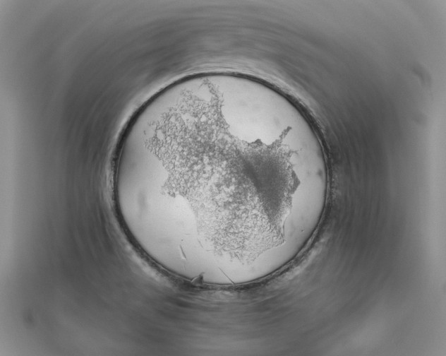 X0000111031517200907161314